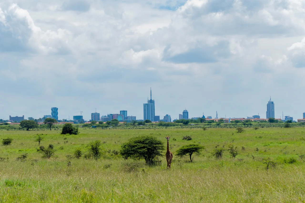 Parc national de Nairobi avec au premier plan une giraffe et en arrière plan la ville de Nairobi